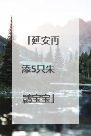 延安再添5只朱鹮宝宝