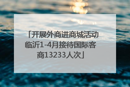 开展外商进商城活动 临沂1-4月接待国际客商13233人次