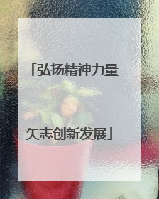 弘扬精神力量 矢志创新发展
