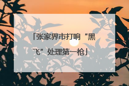 张家界市打响“黑飞”处理第一枪