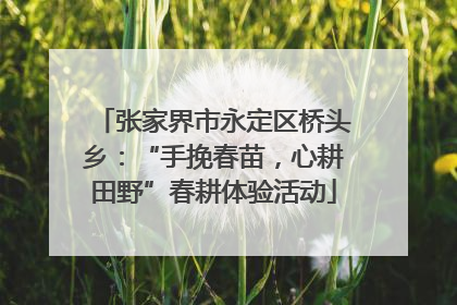 张家界市永定区桥头乡：“手挽春苗，心耕田野”春耕体验活动