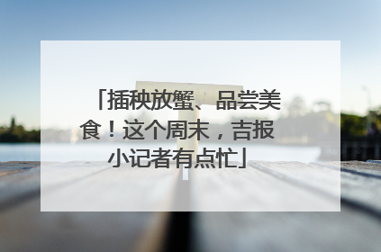 插秧放蟹、品尝美食！这个周末，吉报小记者有点忙