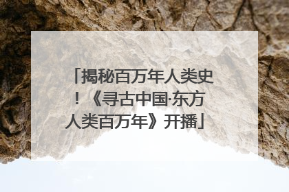 揭秘百万年人类史！《寻古中国·东方人类百万年》开播