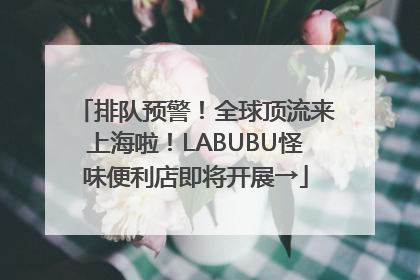 排队预警！全球顶流来上海啦！LABUBU怪味便利店即将开展→