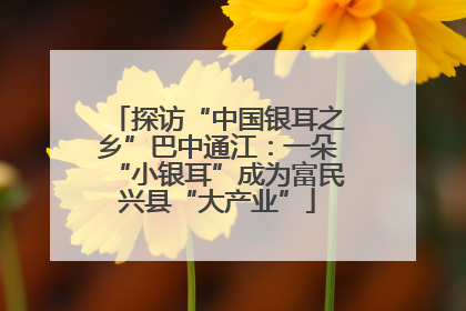 探访“中国银耳之乡”巴中通江：一朵“小银耳”成为富民兴县“大产业”