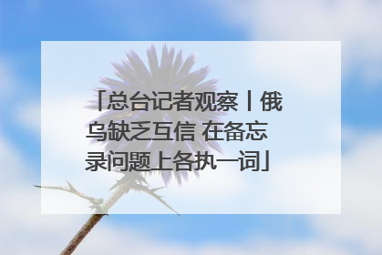 总台记者观察丨俄乌缺乏互信 在备忘录问题上各执一词