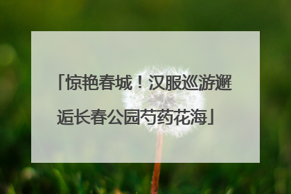 惊艳春城！汉服巡游邂逅长春公园芍药花海