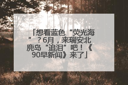 想看蓝色“荧光海”?6月,来瑞安北麂岛“追泪”吧!《90早新闻》来了