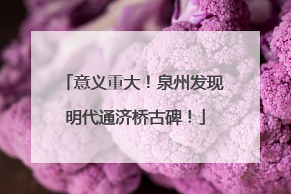 意义重大！泉州发现明代通济桥古碑！
