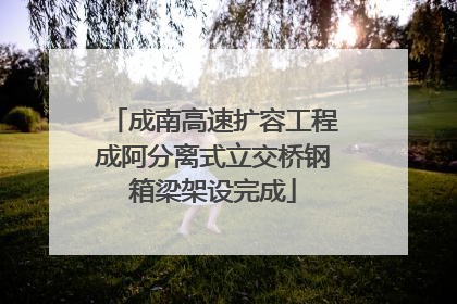成南高速扩容工程成阿分离式立交桥钢箱梁架设完成