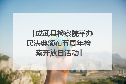 成武县检察院举办民法典颁布五周年检察开放日活动