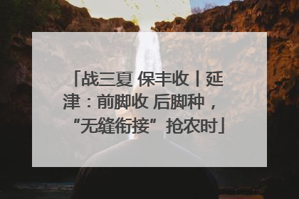 战三夏 保丰收丨延津：前脚收 后脚种，“无缝衔接”抢农时