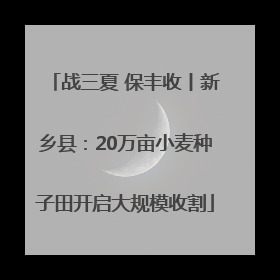 战三夏 保丰收丨新乡县：20万亩小麦种子田开启大规模收割