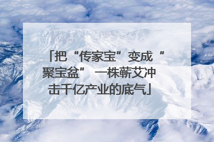 把“传家宝”变成“聚宝盆” 一株蕲艾冲击千亿产业的底气