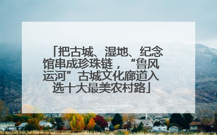 把古城、湿地、纪念馆串成珍珠链，“鲁风运河”古城文化廊道入选十大最美农村路