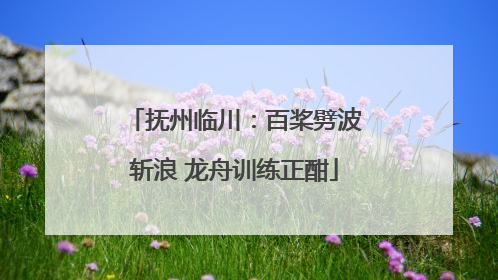 抚州临川：百桨劈波斩浪 龙舟训练正酣