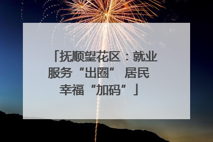 抚顺望花区：就业服务“出圈” 居民幸福“加码”