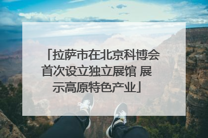 拉萨市在北京科博会首次设立独立展馆 展示高原特色产业