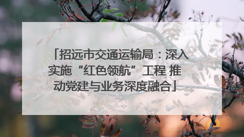 招远市交通运输局：深入实施“红色领航”工程 推动党建与业务深度融合