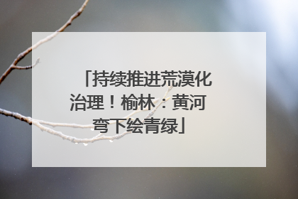 持续推进荒漠化治理！榆林：黄河弯下绘青绿