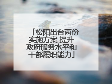 松阳出台两份实施方案 提升政府服务水平和干部履职能力