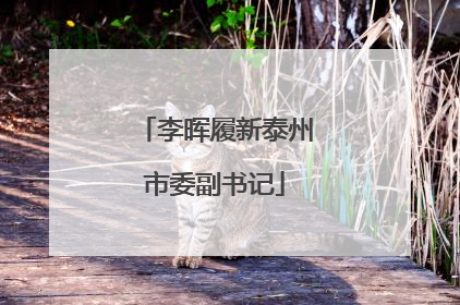 李晖履新泰州市委副书记