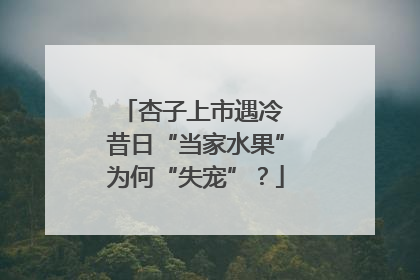 杏子上市遇冷 昔日“当家水果”为何“失宠”？