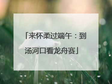 来怀柔过端午：到汤河口看龙舟赛