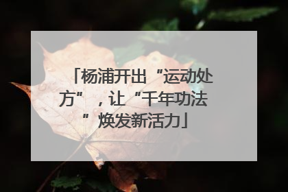 杨浦开出“运动处方”，让“千年功法”焕发新活力