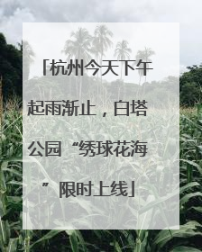 杭州今天下午起雨渐止，白塔公园“绣球花海”限时上线