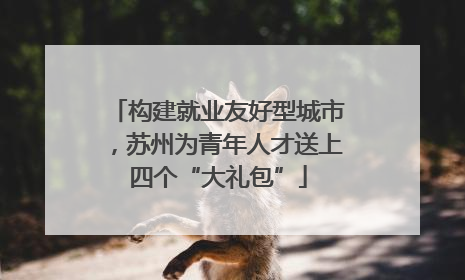 构建就业友好型城市，苏州为青年人才送上四个“大礼包”