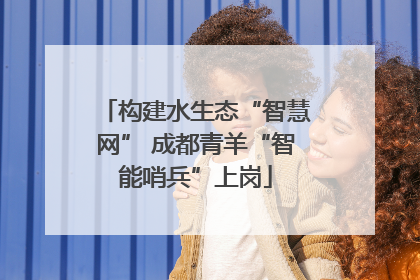 构建水生态“智慧网” 成都青羊“智能哨兵”上岗