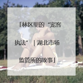 林区里的“宠客执法”｜湖北市场监管所的故事
