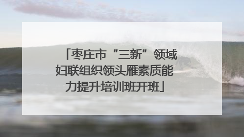 枣庄市“三新”领域妇联组织领头雁素质能力提升培训班开班