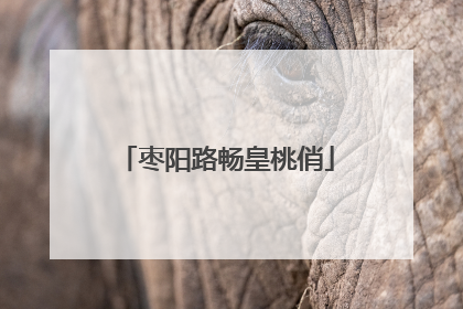 枣阳路畅皇桃俏