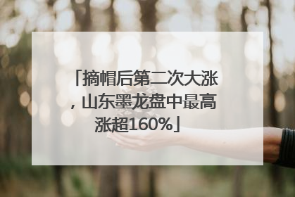 摘帽后第二次大涨，山东墨龙盘中最高涨超160%