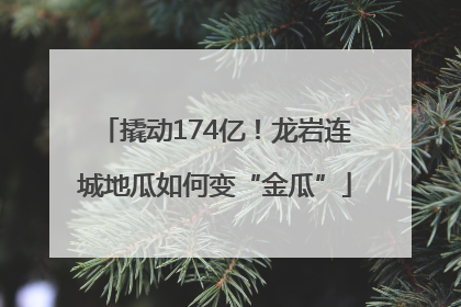 撬动174亿！龙岩连城地瓜如何变“金瓜”
