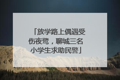 放学路上偶遇受伤夜鹭，聊城三名小学生求助民警