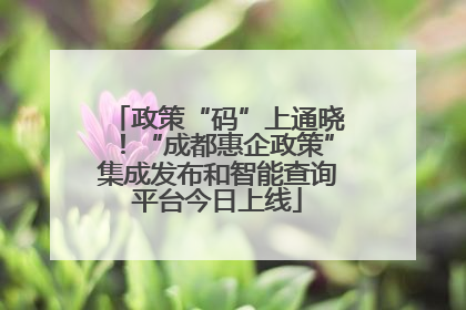 政策“码”上通晓！“成都惠企政策”集成发布和智能查询平台今日上线
