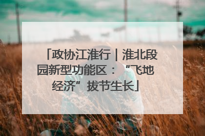 政协江淮行｜淮北段园新型功能区：“飞地经济”拔节生长