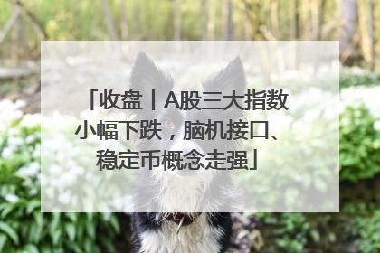 收盘丨A股三大指数小幅下跌，脑机接口、稳定币概念走强