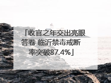 收官之年交出亮眼答卷 临沂禁毒戒断率突破87.4%