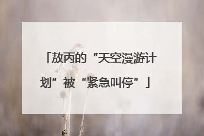 敖丙的“天空漫游计划”被“紧急叫停”
