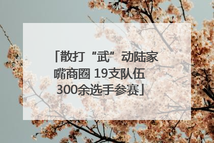 散打“武”动陆家嘴商圈 19支队伍300余选手参赛