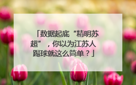 数据起底“精明苏超”，你以为江苏人踢球就这么简单？