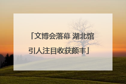 文博会落幕 湖北馆引人注目收获颇丰