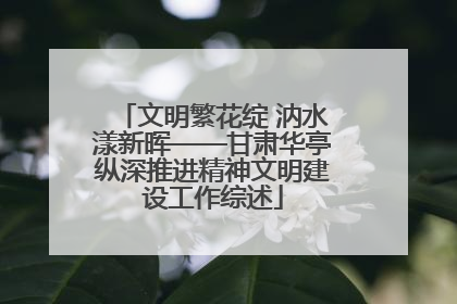 文明繁花绽 汭水漾新晖——甘肃华亭纵深推进精神文明建设工作综述