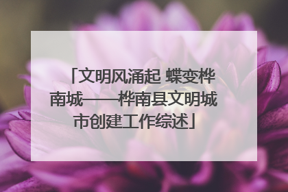 文明风涌起 蝶变桦南城——桦南县文明城市创建工作综述