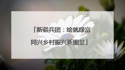 新疆兵团：绘就绿富同兴乡村振兴新图景