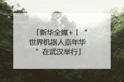 新华全媒+丨“世界机器人嘉年华”在武汉举行